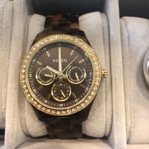 Tortoise fossil medium face watch